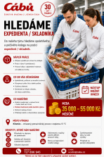 7-expedient-sma.png